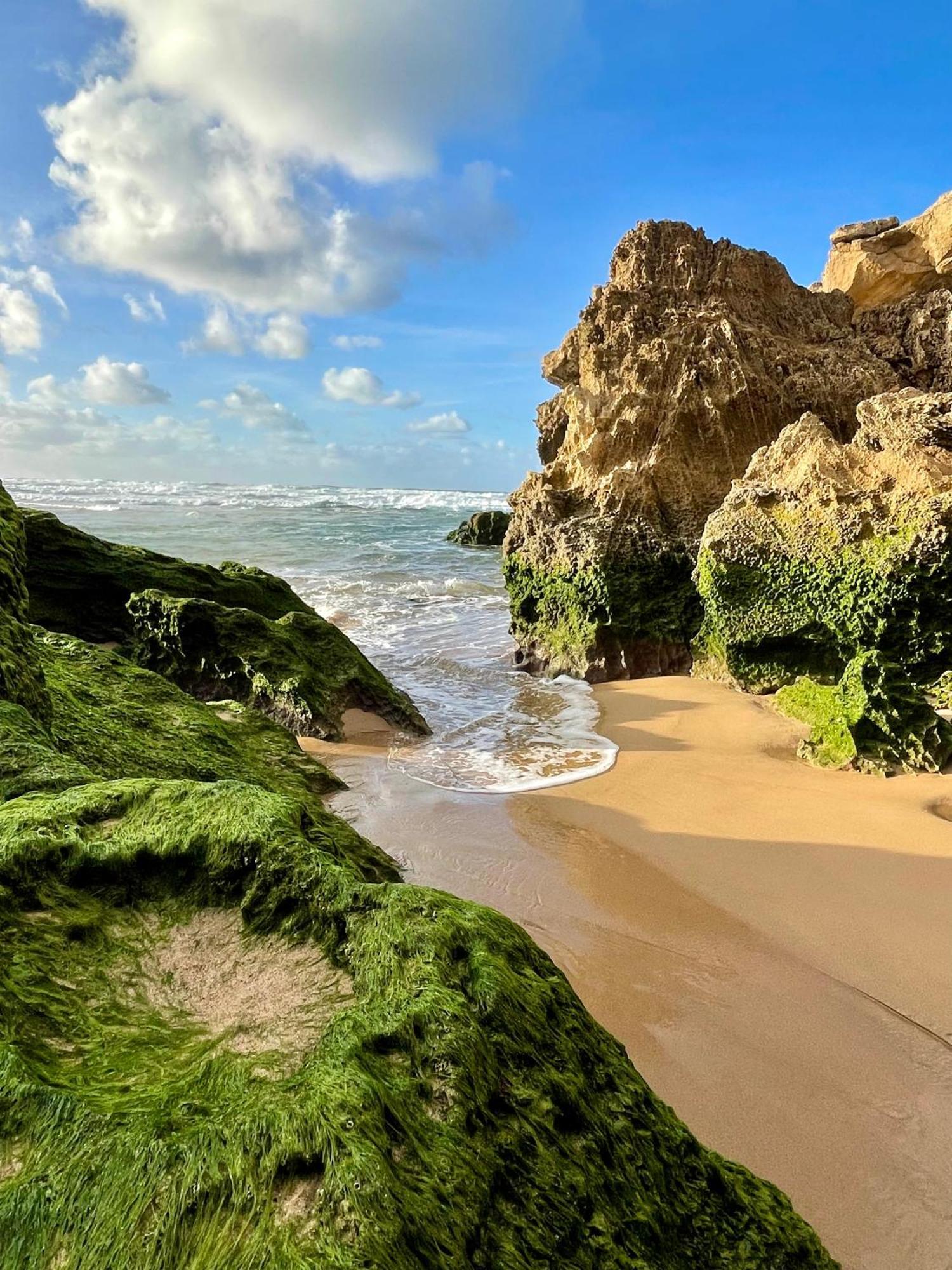 California Dream Inn Алжезур Екстер'єр фото