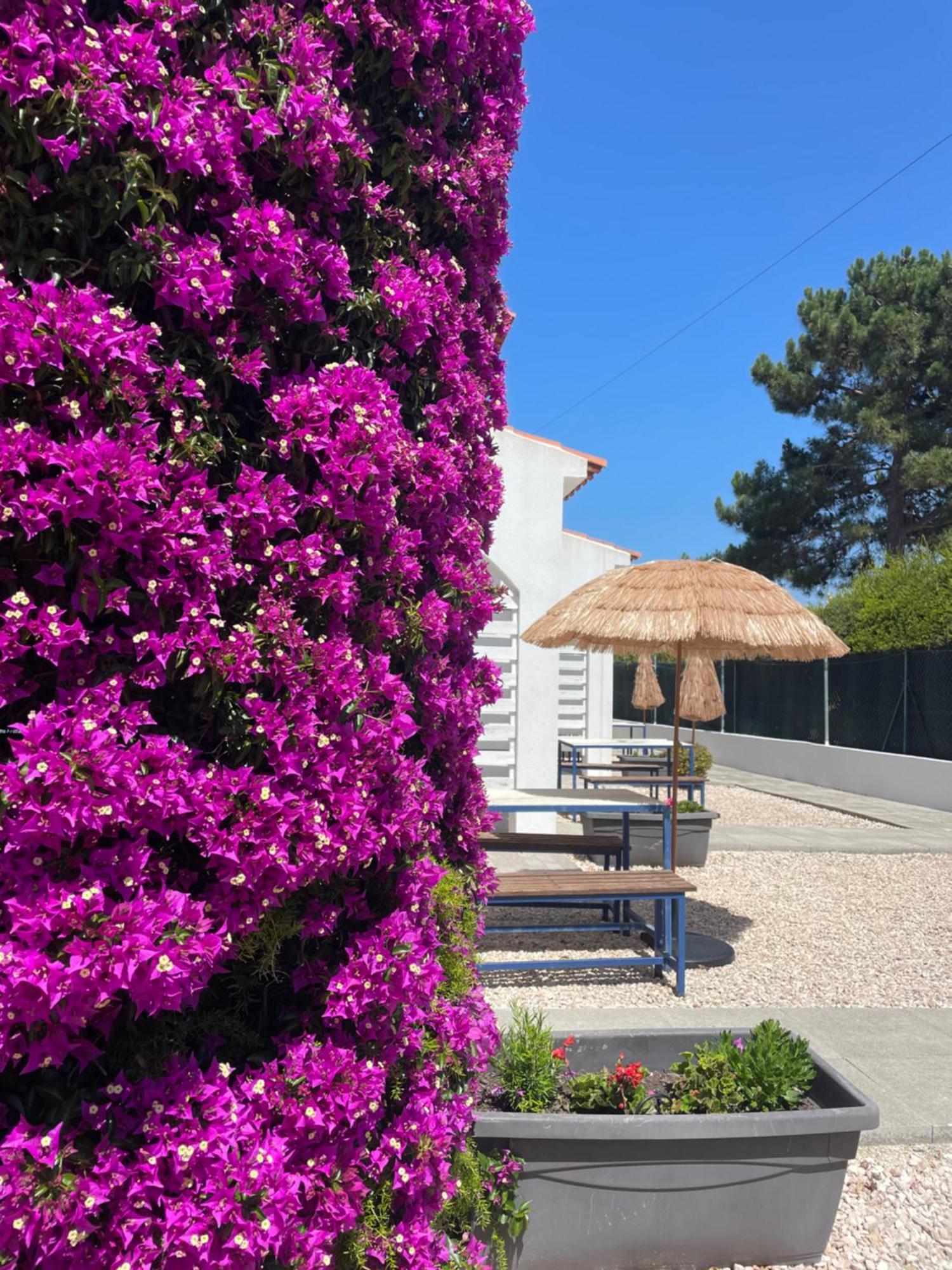 California Dream Inn Алжезур Екстер'єр фото